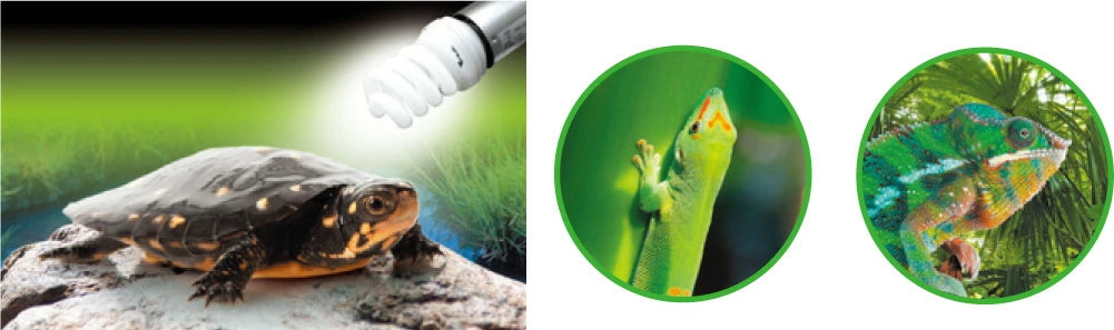 ビバリア スパイラルUVB フォレスト 26W RP-260 送料無料 但、一部地域除 2点目より200円引