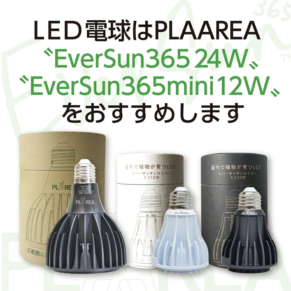 プラエリア クリップソケット 送料無料 但、一部地域除 2点目より500円引