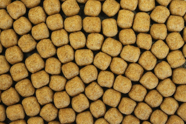 FDフード 胚芽 M 沈下 20kg 送料無料 但、一部地域除 同梱不可