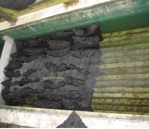 バイオスポンジ 20袋 送料無料 但、一部地域除 同梱不可