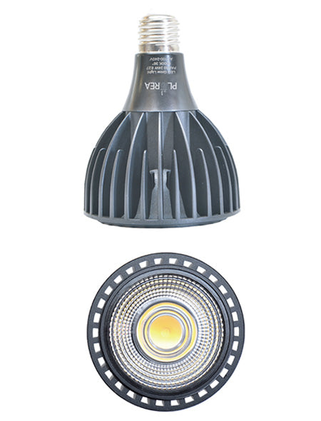 ゼンスイ Ever Sun 365 エバーサン サンロクゴー 送料無料 但、一部地域除 2点目より500円引