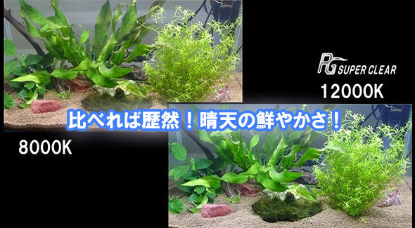 ニッソー PGスーパークリアLED 250 同梱不可 送料無料 但、一部地域除 2点目より500円引