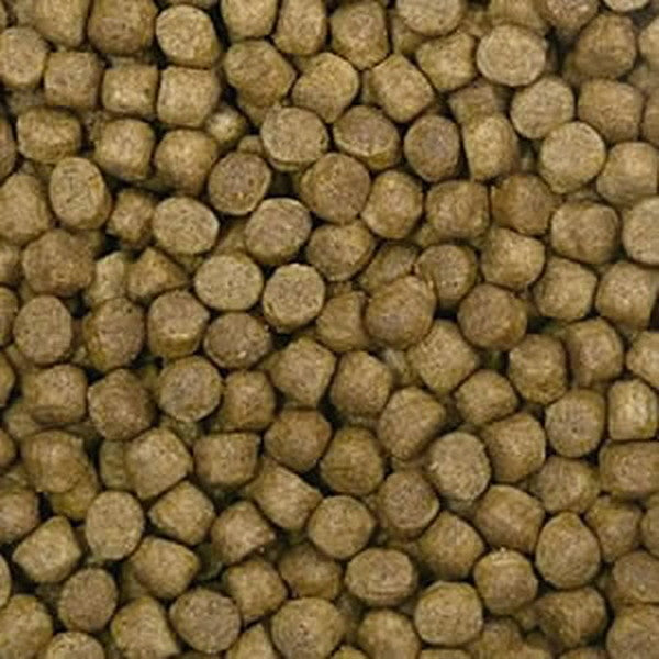 FDフード 育成飼料 ピュア M 浮 15kg 送料無料 但、一部地域除 同梱不可