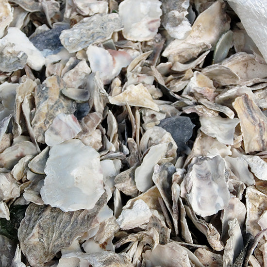 かき殻(洗浄済) 中粒 約3kg 容積約8L 送料無料 但、一部地域除 同梱不可 2点目より300円引