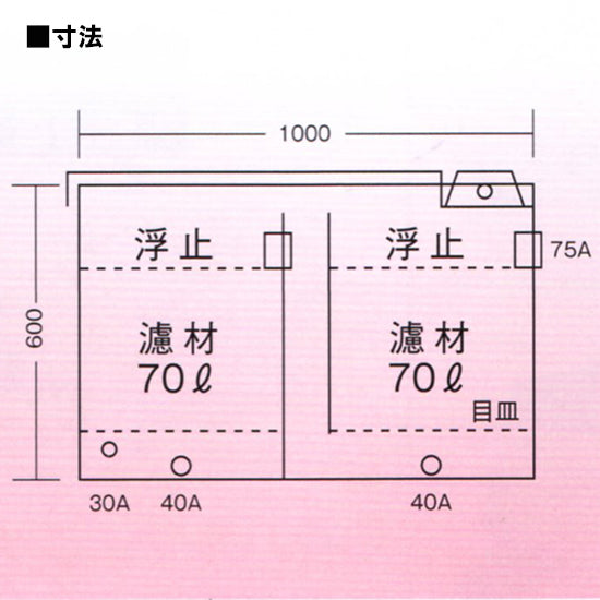 ライフ商事 デオフィルター 1型 殺菌灯(デオランプ)付生物濾過槽 送料無料(東北 九州 北海道 沖縄 離島は別途見積) 同梱不可