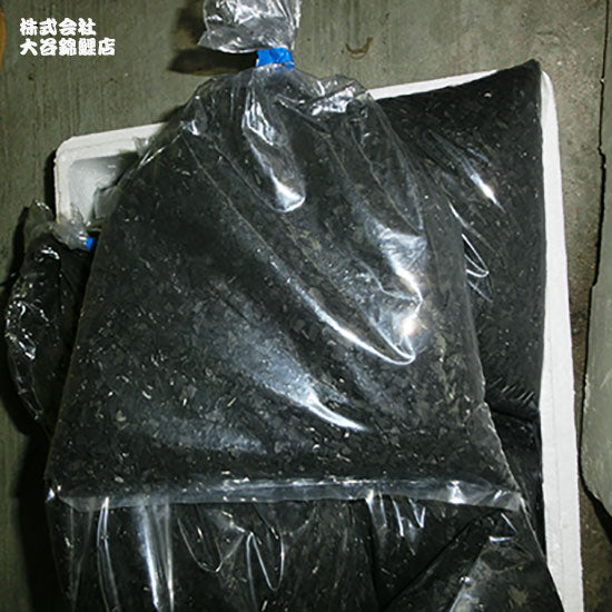水のろ過に最適 業務用 ヤシ殻活性炭 15kg 送料無料 但、一部地域除 同梱不可