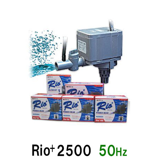 カミハタ リオプラスパワーヘッド Rio+2500 50Hz – 大谷錦鯉店