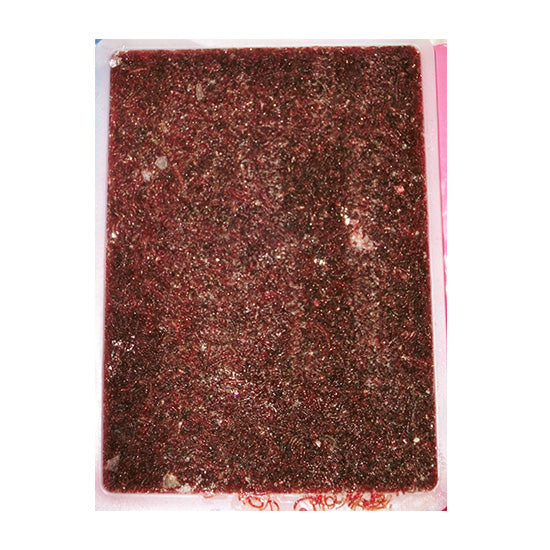 フレッシュ赤虫(冷凍赤虫) 100g×40枚 同梱不可 送料無料 但、一部地域除