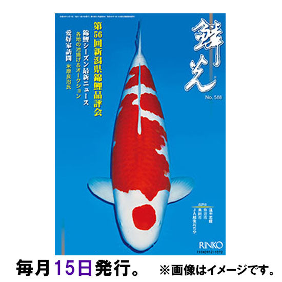 鱗光 送料無料 メール便での発送/代引・日時指定不可 2点目より400円引 同梱不可