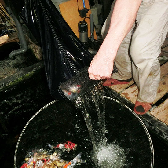 マルチネット(アルミパイプ柄) シート地 黒 径30 柄長25 網長120 中目 送料無料 但、一部地域除同梱不可