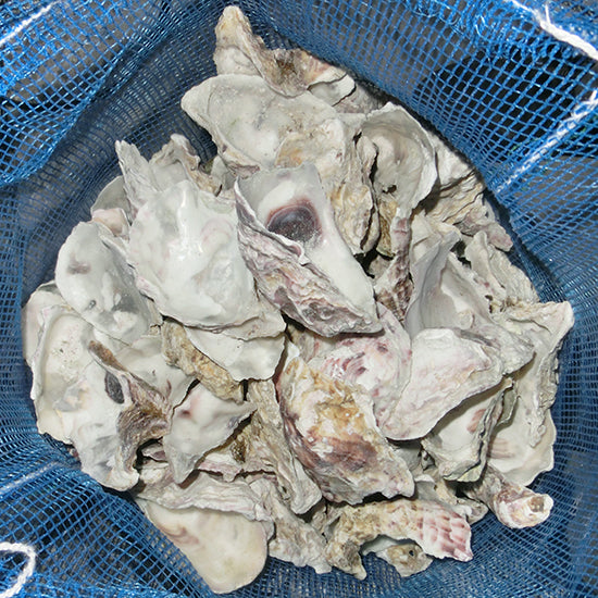 かき殻(洗浄済) 6kg容積約20L 送料無料 但、一部地域除 同梱不可 2点目より300円引