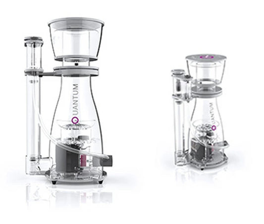 ゼンスイ プロテインスキマー NYOS Quantum120 60Hz 送料無料 但、一部地域除