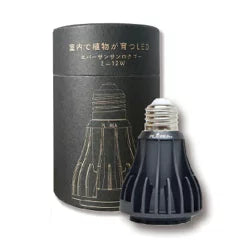 Ever Sun 365 mini 12W BLACK がリニューアル ゼンスイ EVER SUN365 エバーサン サンロクゴーMB 昼白色 　送料無料 但、一部地域除 2点目より200円引