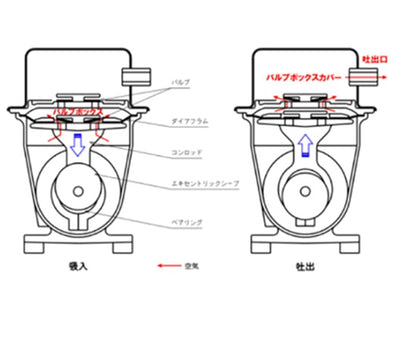 大晃 ダイアフラムブロワ DF-120(単相100V) 送料無料 但、一部地域除 同梱不可