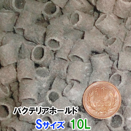 ゼンスイ バクテリアホールド　即沈下 Sサイズ(12Φ) 10L（５L×２）  送料無料 北海道 ・沖縄・離島 別途