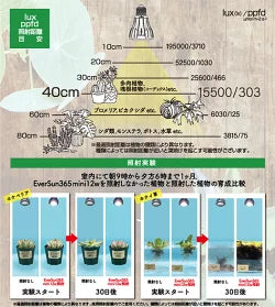 皆様のご要望にお応えしてEver Sun 365 エバーサン サンロクゴーSサイズが新発売！！ ゼンスイEVER SUN365 エバーサン サンロクゴーSW 暖色　送料無料 但、一部地域除 2点目より200円引