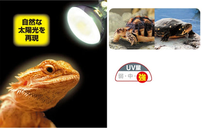 ビバリア ハイパーサンUV 60W-　送料無料 但、一部地域除 2点目より200円引