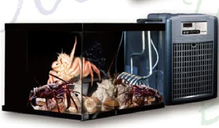 ゼンスイ 活魚水槽 潮 エビ蔵くん フルセット 　納期４０日前後　送料別途見積