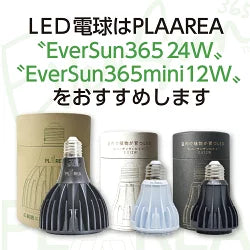 ホワイトタイプ新発売！！ プラエリア スタンドソケット スタンドソケットWHITE ゼンスイ 灯具 LED 60Wまで 　送料無料 但、一部地域除 2点目より400円引