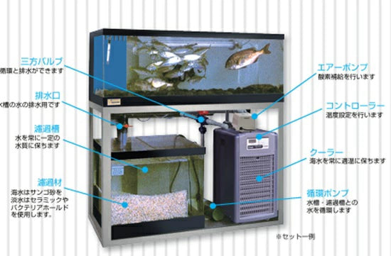 ゼンスイ 活魚水槽 潮 2型 水槽フルセット SUS架台・PVC化粧3面・結露受付 　納期４０日前後　送料別途見積