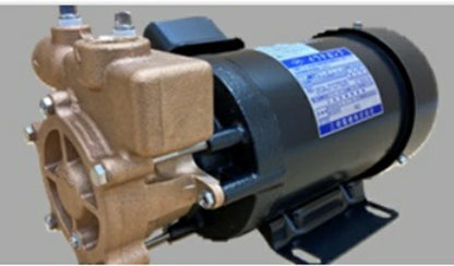 岩谷電機製作所 砲金製 カスケードポンプ 25AJT0752E 3相200V 50Hz 全閉外扇型電動型 送料無料 但、一部地域除 メーカー直送品　通常1～2日で発送　土日祝除