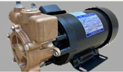 岩谷電機製作所 砲金製 カスケードポンプ 15AJT0202E 3相200V 50Hz 全閉外扇型電動型 送料無料 但、一部地域除 メーカー直送品　通常1～2日で発送　土日祝除