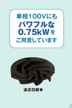 新明和工業 軽量汎用水中ポンプ BTR750S 単相 100V 60Hz　全水路タイプ 送料無料 但、一部地域除 メーカー直送品　通常15～25日で発送　土日祝除