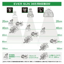 皆様のご要望にお応えしてEver Sun 365 エバーサン サンロクゴーSサイズが新発売！！ ゼンスイEVER SUN365 エバーサン サンロクゴー SB 昼白色 　送料無料 但、一部地域除 2点目より200円引
