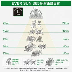 EVER SUN365 LB 昼白色+プランツライトスタンドラック　BLACK　セット　送料無料 但　北海道は別途見積、沖縄・離島 配送不可　納期：10日以上でメーカーより発送（土日祝日除く）