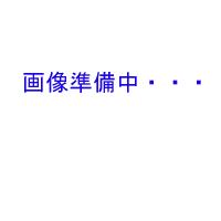 VU65 塩ビパイプ 約50cm 送料無料 但、一部地域除 同一商品購入2点目より700円引