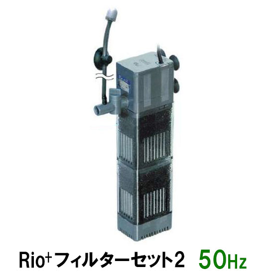 カミハタ Rio+ フィルターセット2 50Hz 送料無料 但、一部地域除 2点目より700円引