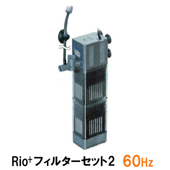 カミハタ Rio+ フィルターセット2 60Hz 送料無料 但、一部地域除 2点目より700円引