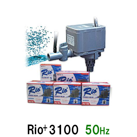 カミハタ リオプラスパワーヘッド Rio+3100 50Hz 送料無料 2点目より700円引 – 大谷錦鯉店