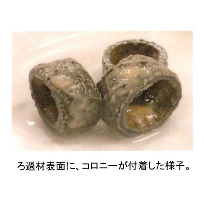 ゼンスイ バクテリアホールド Mサイズ(15Φ) 5L 送料無料 但、一部地域配送不可 2点目より4400円