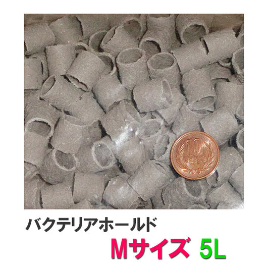 ゼンスイ バクテリアホールド Mサイズ(15Φ) 5L 送料無料 但、一部地域配送不可 2点目より4400円