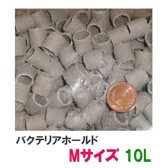 ゼンスイ バクテリアホールド Mサイズ(15Φ) 10L(5L×2) 送料無料 但、一部地域除 同梱不可
