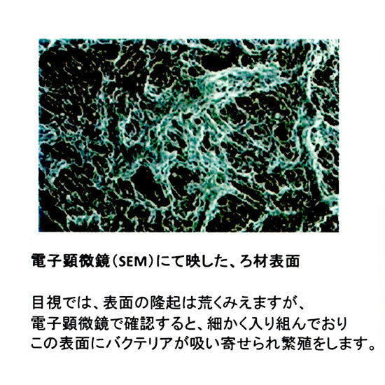 ゼンスイ バクテリアホールド Mサイズ(15Φ) 50L 代引不可 同梱不可 送料無料 但、一部地域除