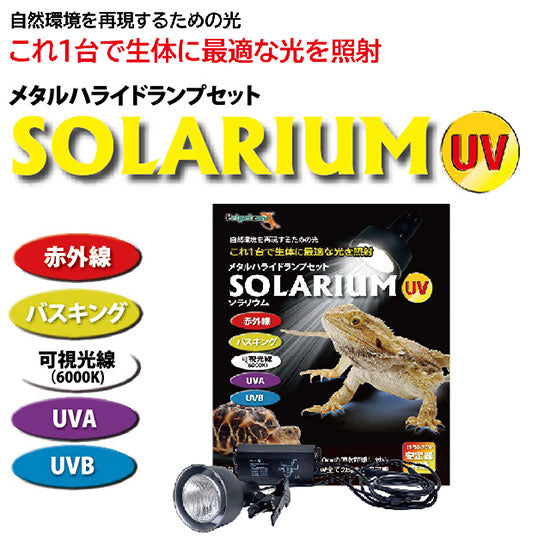 自然環境を再現するための光 ゼンスイ SOLARIUM ソラリウム(メタルハライドランプ50W + 共通安定器 + 専用ソケット) 送料無料 但、一部地域除